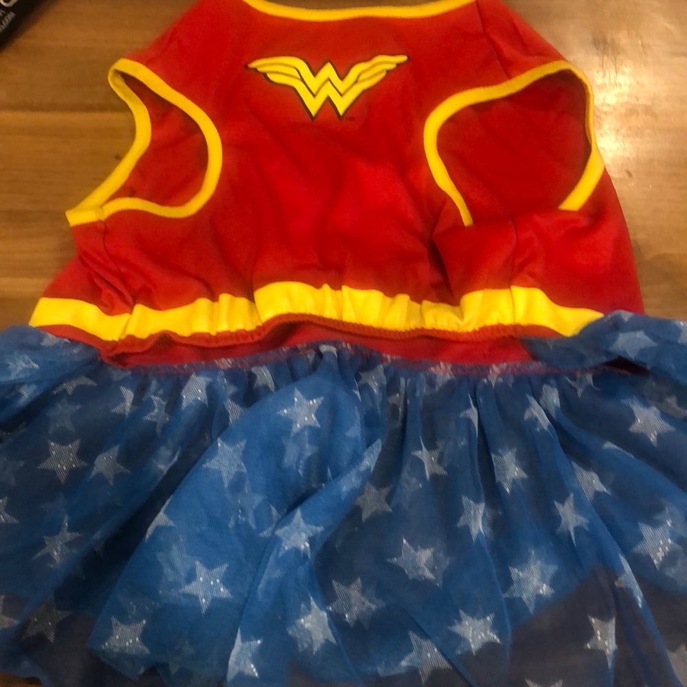 Wonderwomen dog costume